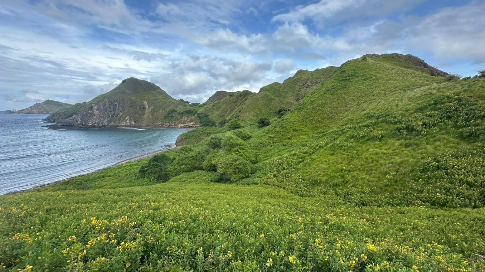 D'Flora Homestay 纳闽巴霍 外观 照片